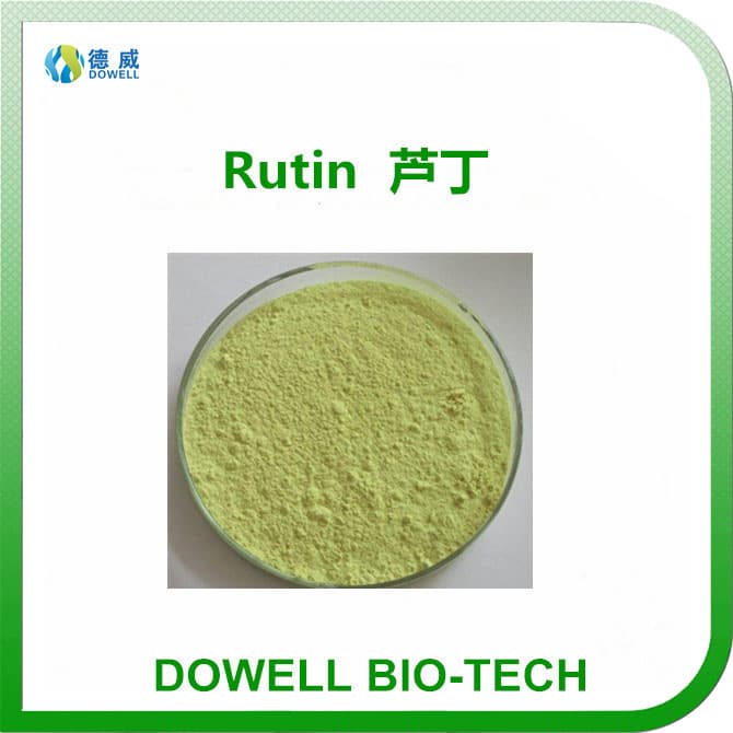 Plant Extract Powder Rutin CAS No_153_18_4 EP98_Min_NF11 95_